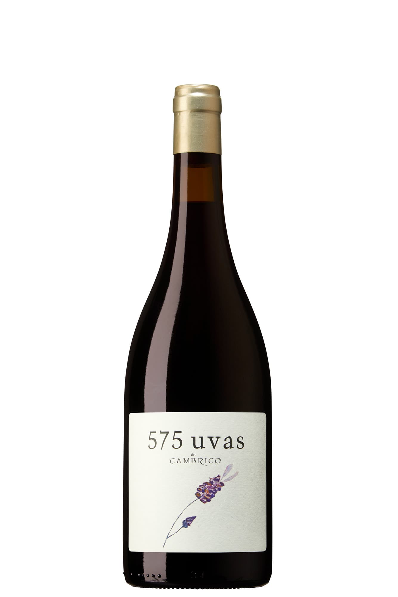 Viñas del Cámbrico, 575 Uvas 2023 Bio
